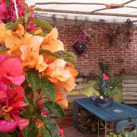Hostal Nahui Ollin San Cristóbal de Las Casas Εξωτερικό φωτογραφία