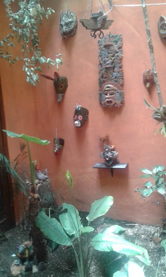 Hostal Nahui Ollin San Cristóbal de Las Casas Εξωτερικό φωτογραφία