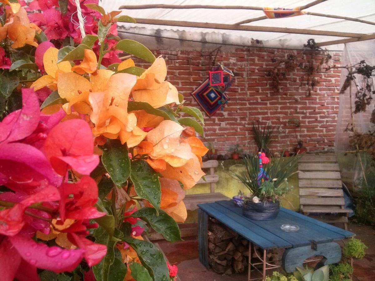 Hostal Nahui Ollin San Cristóbal de Las Casas Εξωτερικό φωτογραφία